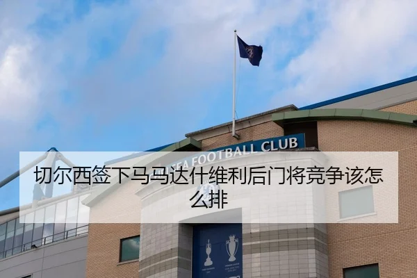 切尔西签下马马达什维利后门将竞争该怎么排