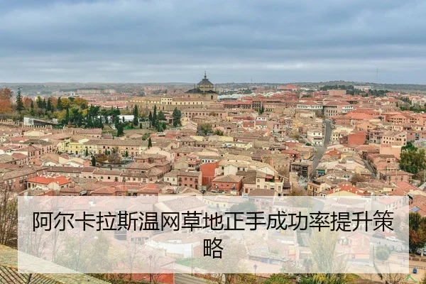 a-er-ka-la-si-wen-wang-cao-di-zheng-shou-cheng-gong-lv-ti-sheng-ce-lve-3-486.jpg