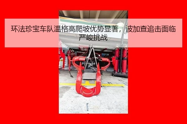 环法珍宝车队温格高爬坡优势显著，波加查追击面临严峻挑战