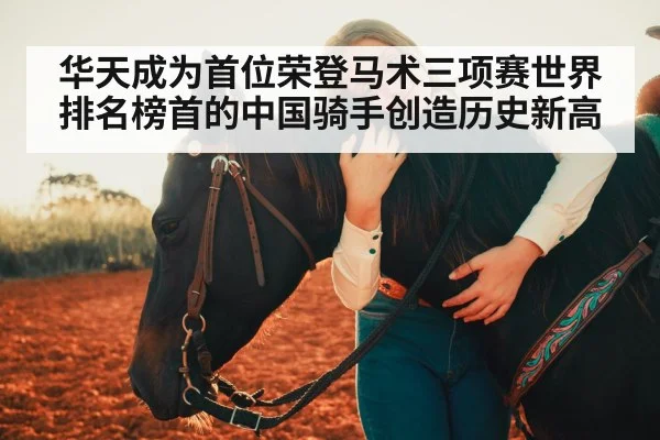 horse and rider bond